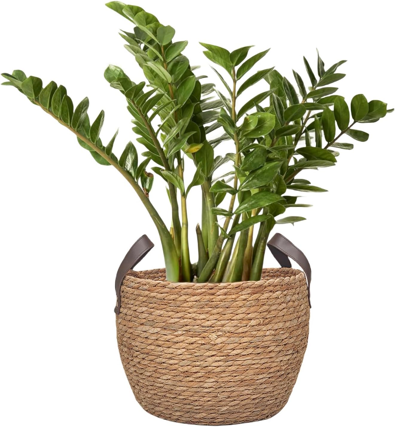 Click to see full view        GIB Round Wicker Woven Seagrass Storage Baskets with Leather Handles Set of 3, Natural Decorative Braided Rope Wicker Baskets Bins for Shelves Blankets Organizing, 13", 12" & 11"